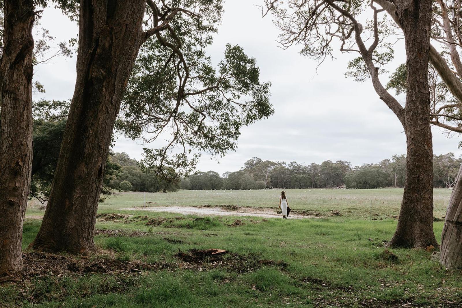 Chambre Estate Margaret River Ngoại thất bức ảnh