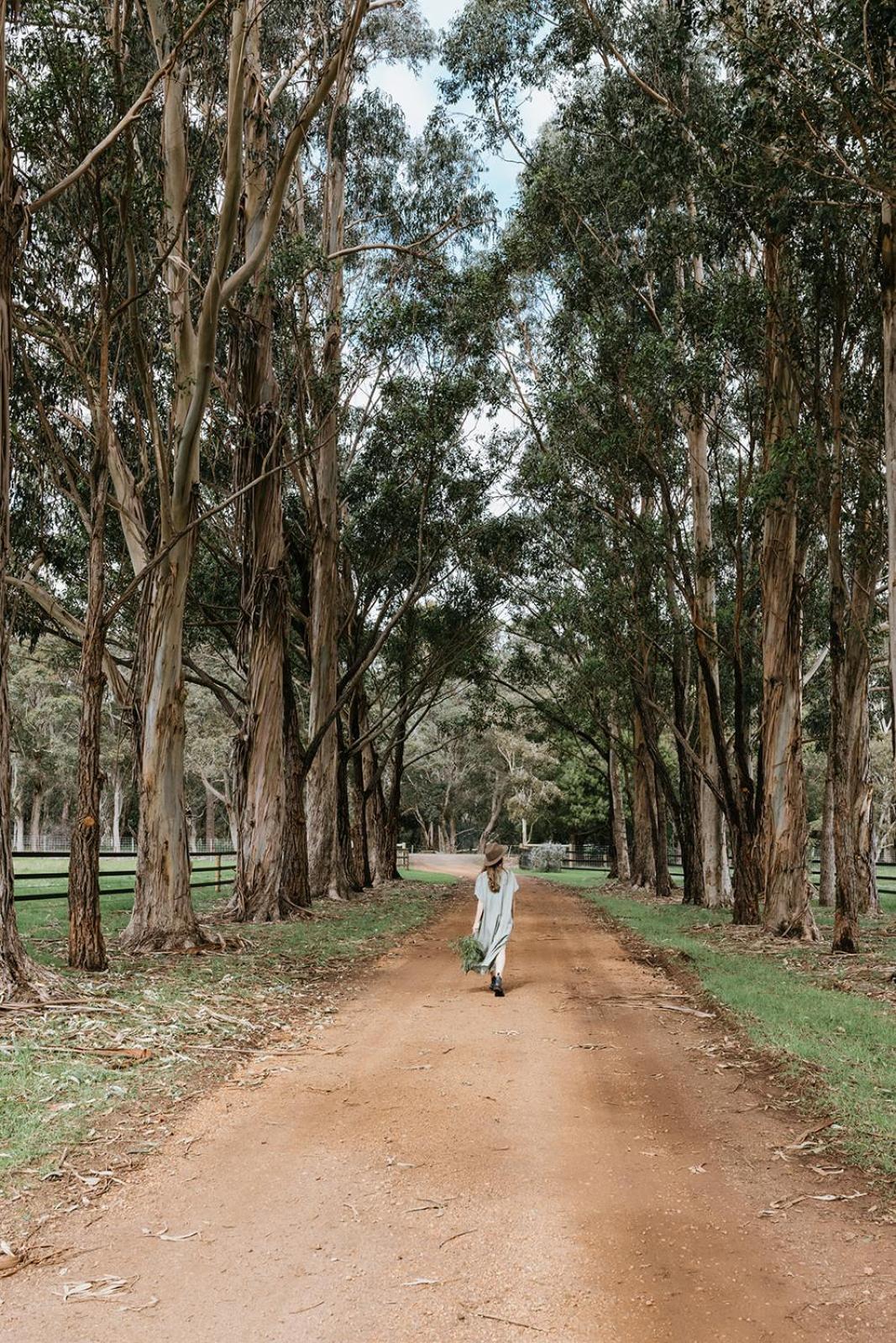 Chambre Estate Margaret River Ngoại thất bức ảnh