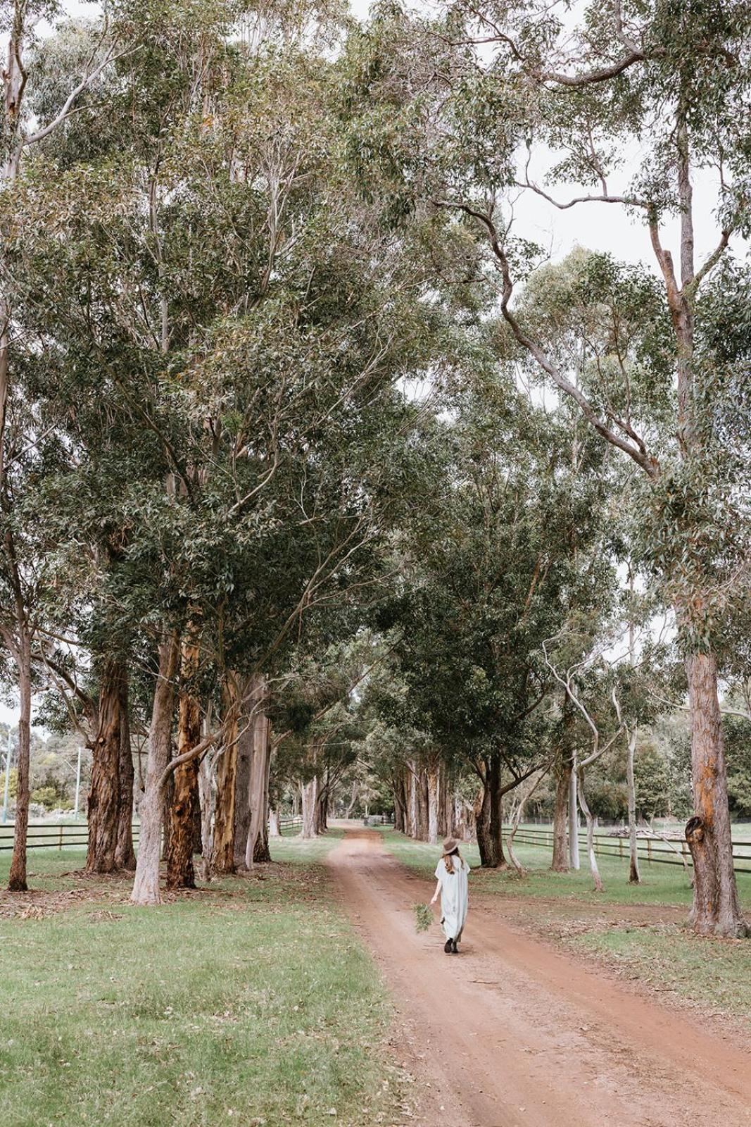 Chambre Estate Margaret River Ngoại thất bức ảnh